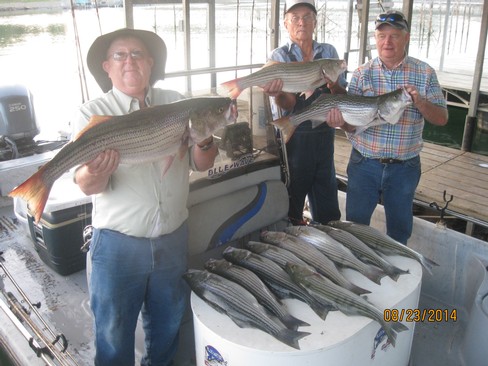 Nice Striped Bass